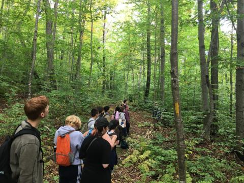 hubbard brook tour