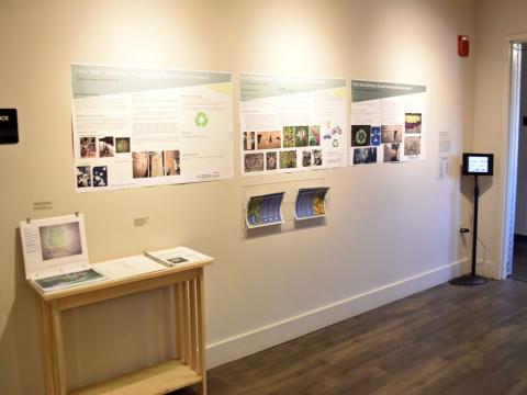 Endangered Invasive Undiscovered [Species] exhibit installation view