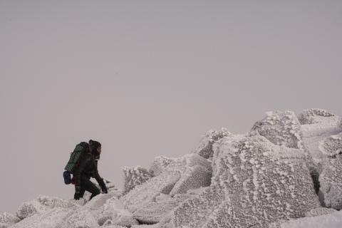 Mardi Fuller in Winter