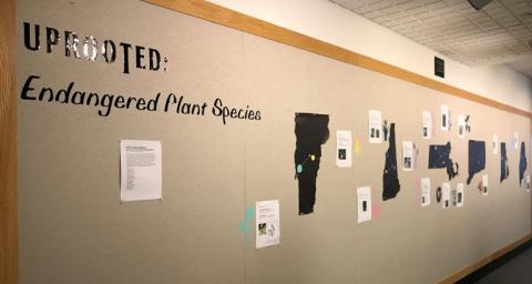 Uprooted: Endangered Plant species exhibit