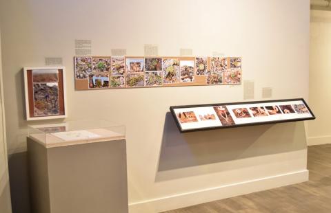  PSU Herbarium highlighted as part of this exhibition, installation view