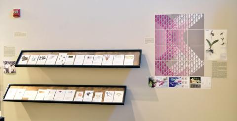  PSU Herbarium highlighted as part of this exhibition, installation view