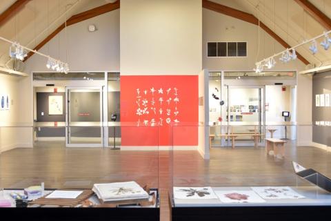  PSU Herbarium highlighted as part of this exhibition, installation view