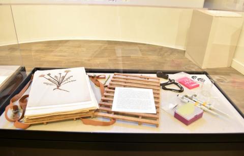  PSU Herbarium highlighted as part of this exhibition, installation view