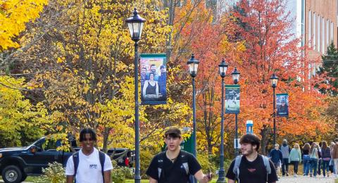 Three students in fall