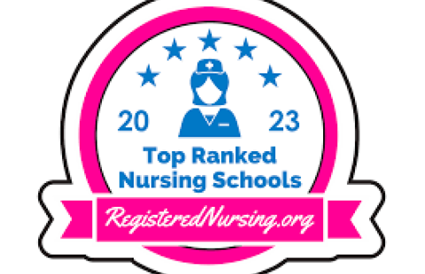 Top Ranked Nursing Schools logo