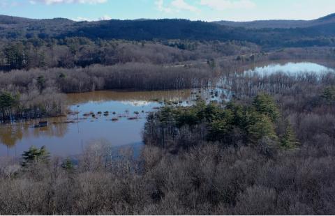 Flooded River