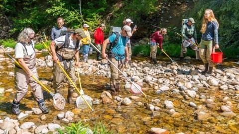 Students and faculty conducting research in the Beebe River regarding River Brook Trout