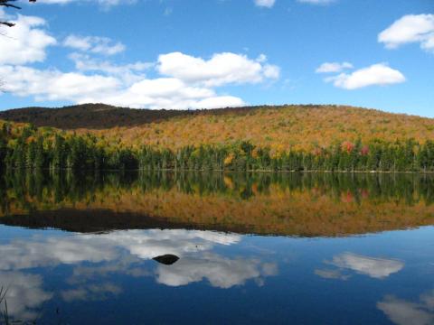 A pond with a mountain in the background with trees displaying autumn colors against a bright blue sky with large puffy white clouds.