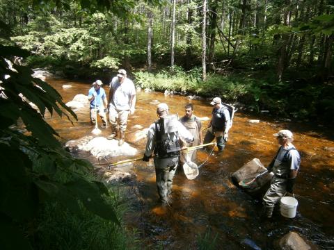 Students and faculty stand in the Beebe River with nets, buckets and backpacks on.