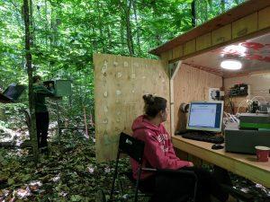 A student sits at a computer in the forest inside a shed.