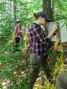 Two students stand at individual sensing stations in the forest.