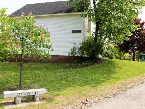 tribute tree with marker on Plymouth campus